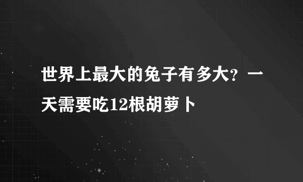 世界上最大的兔子有多大？一天需要吃12根胡萝卜