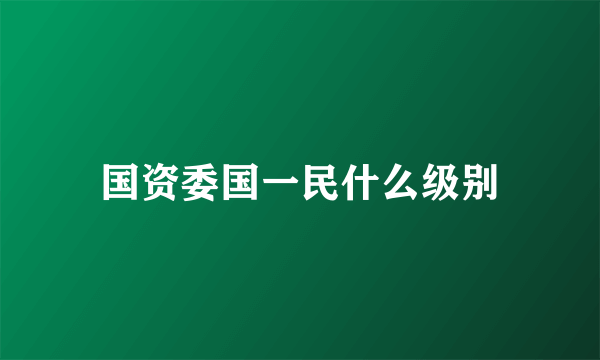 国资委国一民什么级别