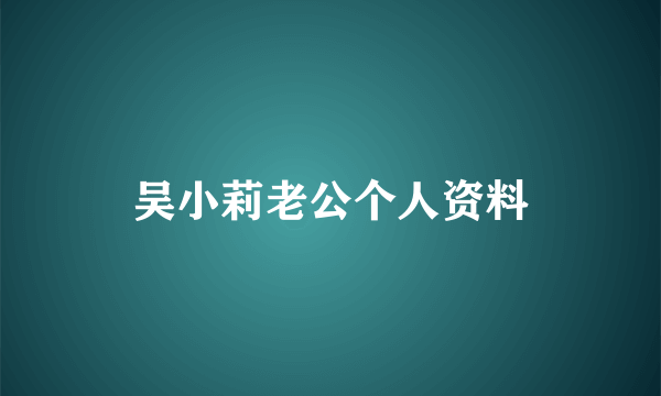 吴小莉老公个人资料