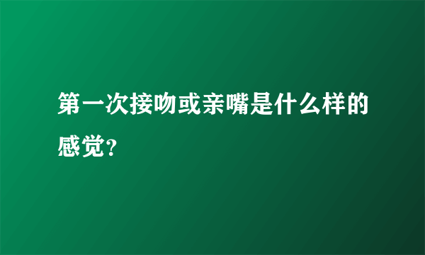 第一次接吻或亲嘴是什么样的感觉？