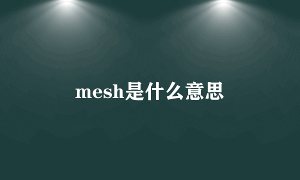 mesh是什么意思