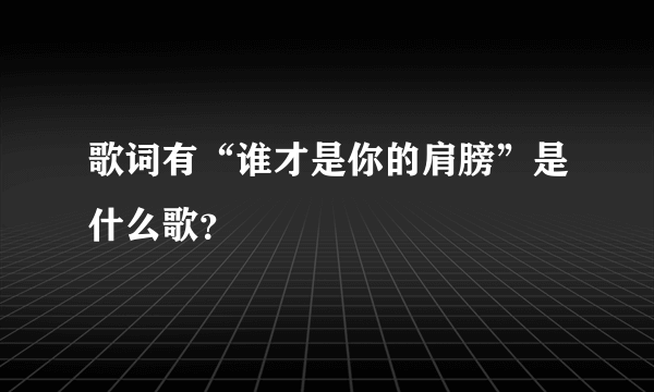 歌词有“谁才是你的肩膀”是什么歌？