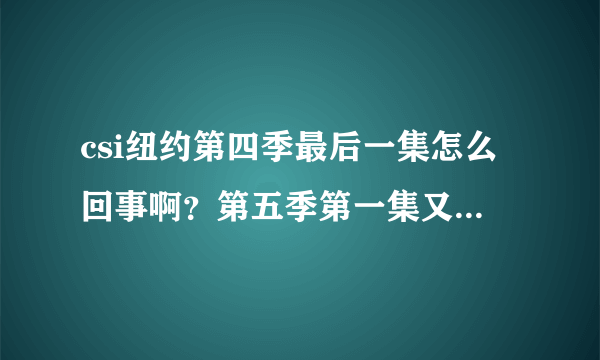 csi纽约第四季最后一集怎么回事啊？第五季第一集又不是接下去的？