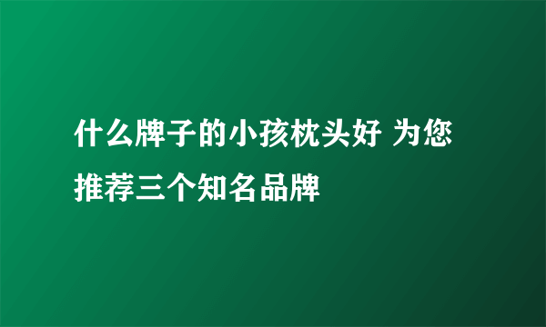 什么牌子的小孩枕头好 为您推荐三个知名品牌