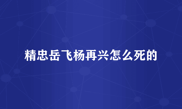 精忠岳飞杨再兴怎么死的