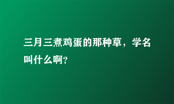 三月三煮鸡蛋的那种草，学名叫什么啊？