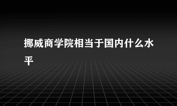 挪威商学院相当于国内什么水平