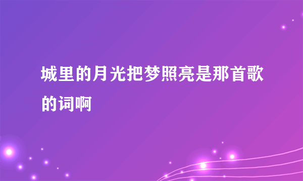 城里的月光把梦照亮是那首歌的词啊