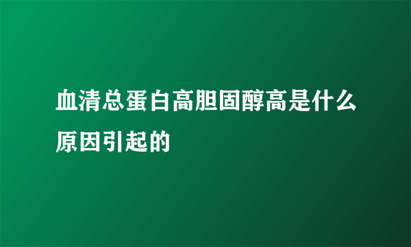 血清总蛋白高胆固醇高是什么原因引起的