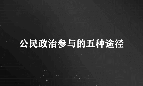 公民政治参与的五种途径