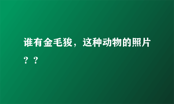 谁有金毛狻，这种动物的照片？？