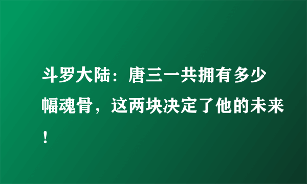 斗罗大陆：唐三一共拥有多少幅魂骨，这两块决定了他的未来！