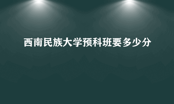 西南民族大学预科班要多少分