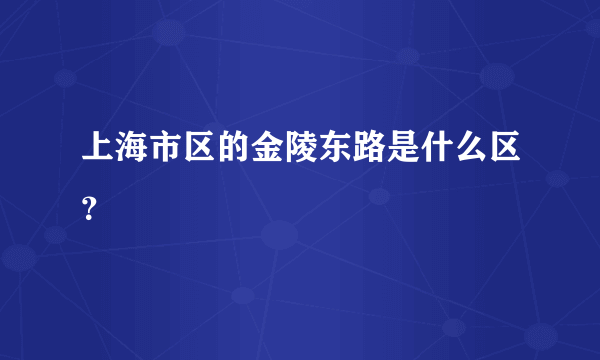 上海市区的金陵东路是什么区？