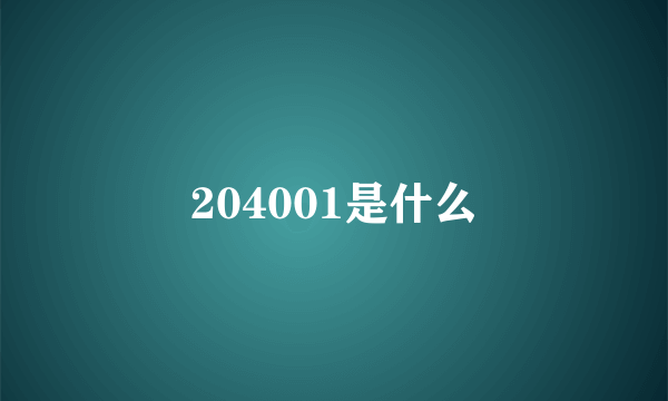 204001是什么