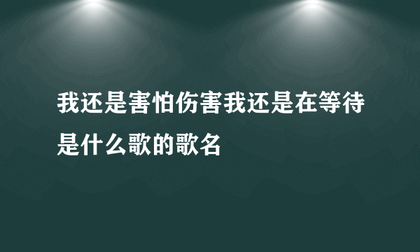 我还是害怕伤害我还是在等待是什么歌的歌名