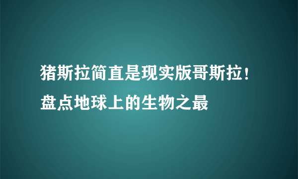 猪斯拉简直是现实版哥斯拉！盘点地球上的生物之最