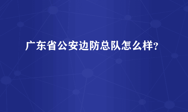 广东省公安边防总队怎么样？