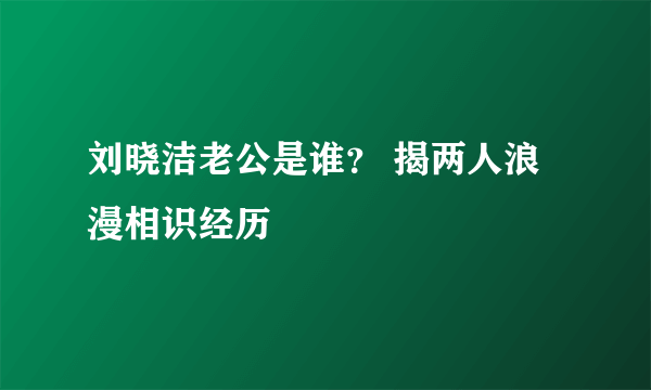 刘晓洁老公是谁？ 揭两人浪漫相识经历