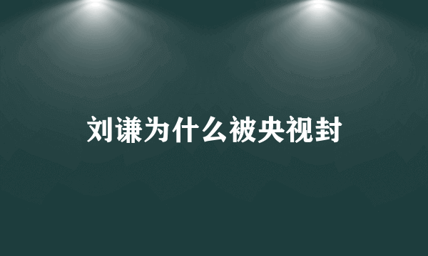 刘谦为什么被央视封