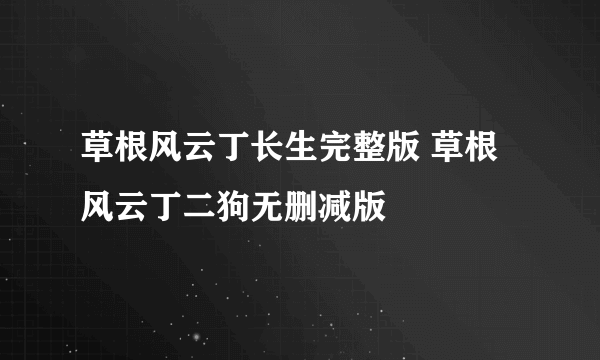 草根风云丁长生完整版 草根风云丁二狗无删减版