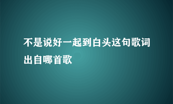 不是说好一起到白头这句歌词出自哪首歌