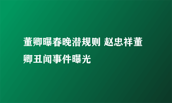 董卿曝春晚潜规则 赵忠祥董卿丑闻事件曝光