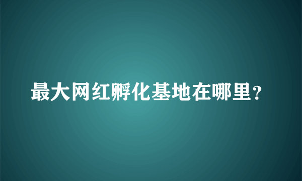 最大网红孵化基地在哪里？