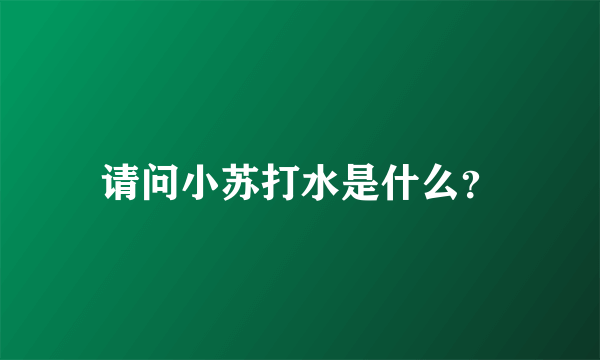 请问小苏打水是什么？