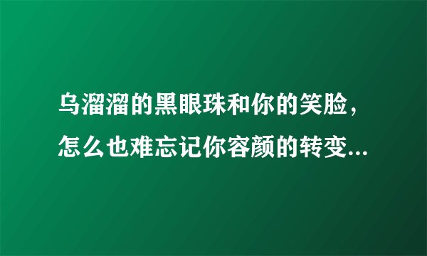 乌溜溜的黑眼珠和你的笑脸，怎么也难忘记你容颜的转变。这两句歌曲的歌名叫什么？