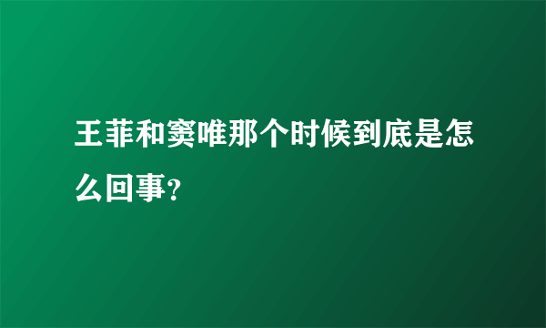 王菲和窦唯那个时候到底是怎么回事？