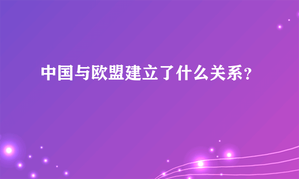 中国与欧盟建立了什么关系？