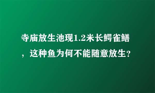 寺庙放生池现1.2米长鳄雀鳝，这种鱼为何不能随意放生？