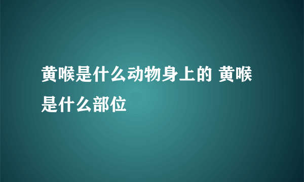 黄喉是什么动物身上的 黄喉是什么部位