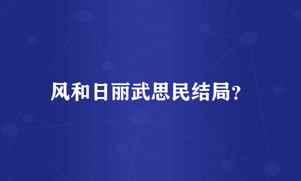 风和日丽武思民结局？