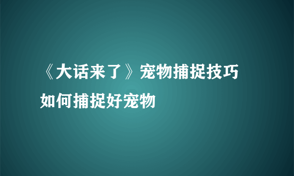 《大话来了》宠物捕捉技巧 如何捕捉好宠物