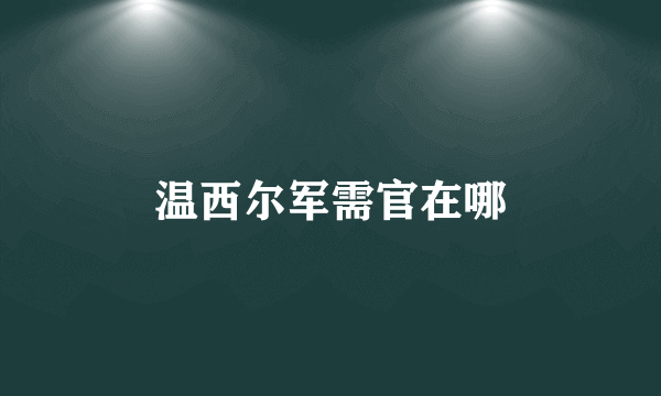 温西尔军需官在哪