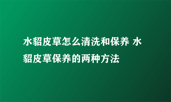 水貂皮草怎么清洗和保养 水貂皮草保养的两种方法