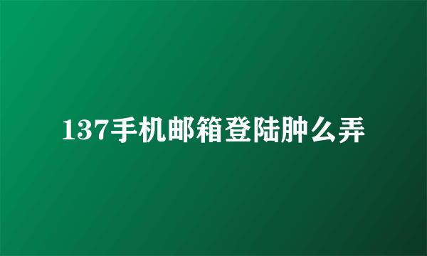 137手机邮箱登陆肿么弄