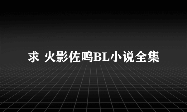 求 火影佐鸣BL小说全集