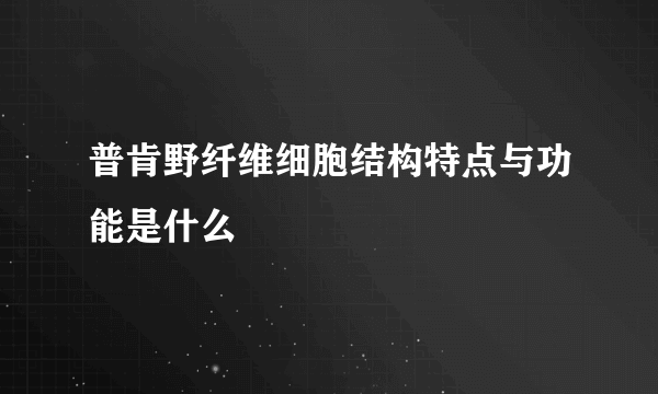 普肯野纤维细胞结构特点与功能是什么