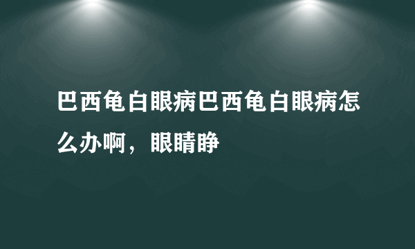 巴西龟白眼病巴西龟白眼病怎么办啊，眼睛睁