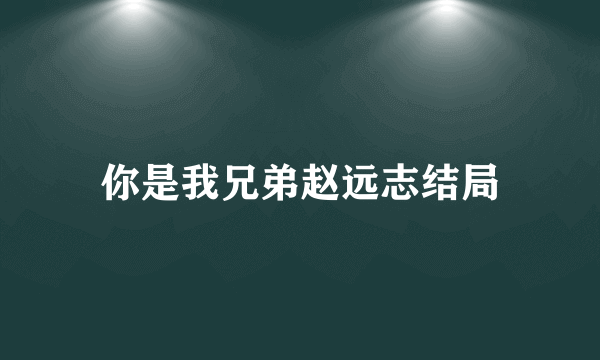 你是我兄弟赵远志结局