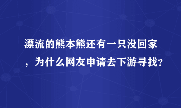 漂流的熊本熊还有一只没回家，为什么网友申请去下游寻找？