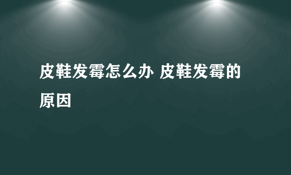 皮鞋发霉怎么办 皮鞋发霉的原因