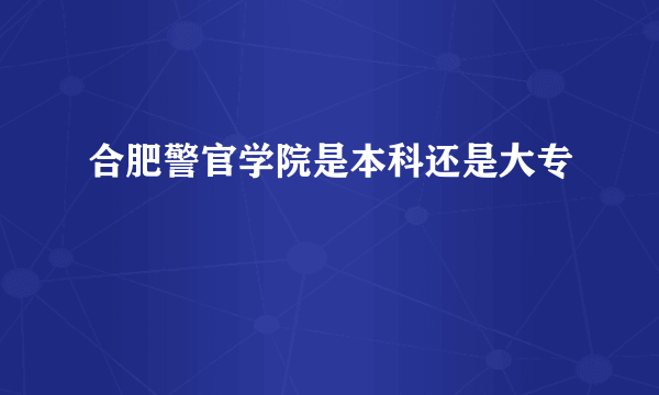 合肥警官学院是本科还是大专