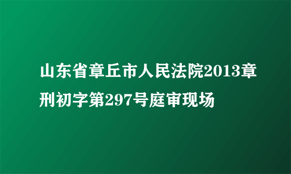 山东省章丘市人民法院2013章刑初字第297号庭审现场