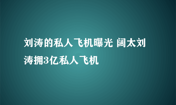 刘涛的私人飞机曝光 阔太刘涛拥3亿私人飞机