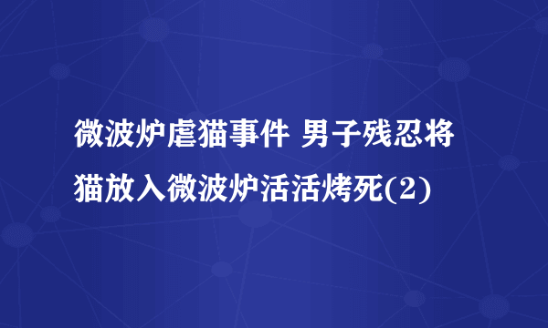 微波炉虐猫事件 男子残忍将猫放入微波炉活活烤死(2)