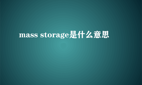 mass storage是什么意思